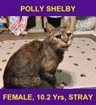 POLLY SHELBY